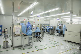 安培龍 潛心研發(fā)鑄就小巨人“銅頭鐵臂”